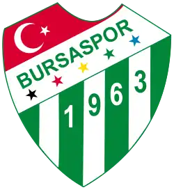 Bursaspor (Pokalfinalist)