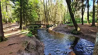 Butterbarg Brügg über die Este in Bötersheim