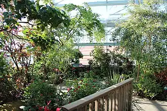 Schmetterlings-Freiflughalle