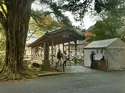 Eingang mit altem Ginkgo