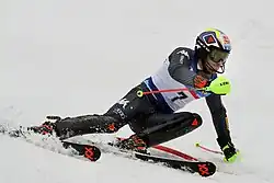 Gross im Februar 2017