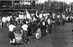 Tanz mit Steckenpferden. Aufführung des Kuda-Kepang-(Steckenpferd)-Tanzes in Deli Serdang auf Sumatra