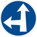 C-2e Vorgeschriebene Fahrtrichtung: geradeaus oder links abbiegen