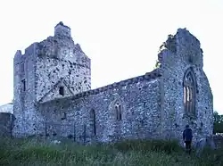 Ruine der Cahir Abbey
