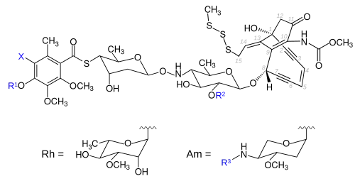 Strukturformel des Calicheamicin-Grundgerüsts