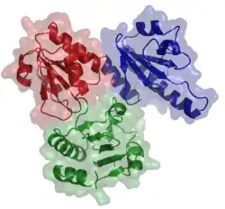 Calsequestrin-1