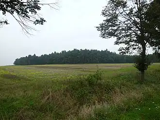 Blick aus Richtung der Velsdorfer Fußballplätze zum Beneberg
