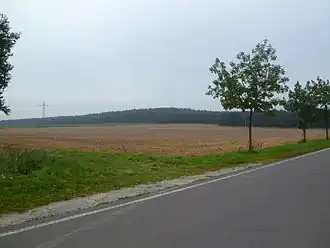 Blick von der Straße zwischen Velsdorf und Wegenstedt zum Langen Berg