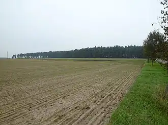 Blick zum Lauseberg von der Straße zwischen Velsdorf und der Kreuzung der Verbindung Calvörde–Wegenstedt