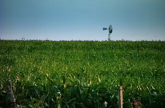 Feld in Bella Unión