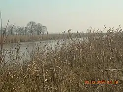 Naturschutzgebiet Oasi di Porto