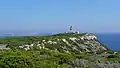 Leuchtturm Capo Pertusato, im Hintergrund ist Sardinien zu erkennen