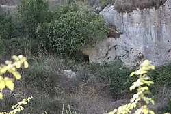 Am Boden, neben dem Baum der Zugang zum Felsgrab