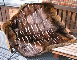 Südamerikanisches Skunkfell, Umrandung Possumfell (2010)