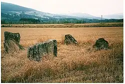 Steinkreise von Carse Farm
