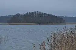 Blick auf den östlichen Teil des Carwitzer Sees mit der Insel Elswerder