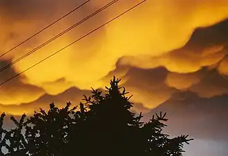 Mammatus nach einem nächtlichen Gewitter über dem Moseltal, 29. Mai 2000