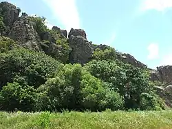 Nationalpark Ybyturuzú