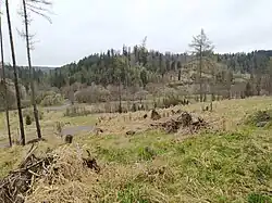 Straße von Rudoltovice nach der Wüstung Nový Mlýn