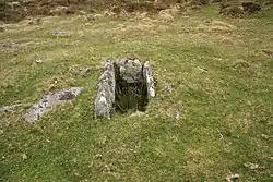 Steinkiste von Chittaford Down