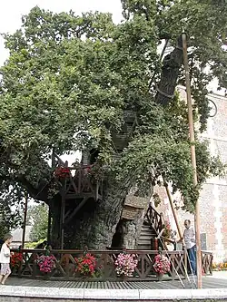 Größenbezug Mensch