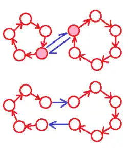 Durch die Hintereinanderausführung einer Permutation (rot) mit einer Vertauschung (blau) erhöht sich die Anzahl der Zyklen um eins, wenn die vertauschten Elemente innerhalb eines Zyklus liegen (links) und sie verringert sich um eins, wenn sie in verschiedenen Zyklen liegen (rechts).