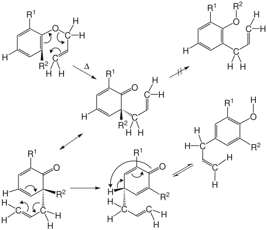 Intramolekulare Claisen-Umlagerung mit Regioselektivität