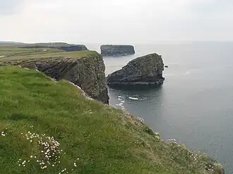 Cliffs of Kilkee