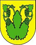 Wappen von Velká Chmelištná