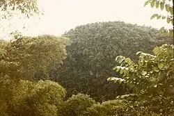 Cockpit Country Schutzgebiet