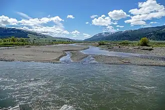 Zusammenfluss von Soda Butte Creek und Lamar River im Lamar Valley