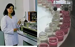 Continuous-Flow Analysator für Phosphat- und Nitratanalysen