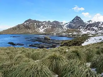 Blick vom Ufer der Cooper Bay auf den Ferguson Peak (rechts der Mitte)