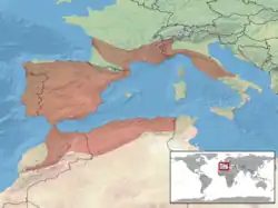 Verbreitungsgebiet der Girondische Glattnatter