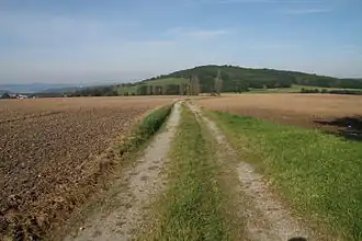 Blick von Südwesten auf den Cottaer Spitzberg
