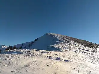 Gipfel des Käsenbergs im Winter