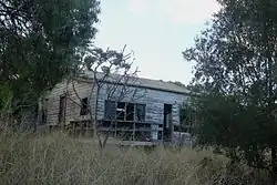 Die Natur erobert die Gebäude zurück