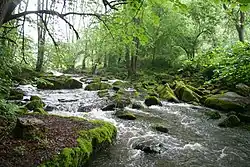 Crinitzer Wasser bei den Quarksteinen