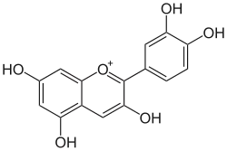 Cyanidin (farbiges Flavylium-Kation)
