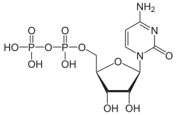 Cytidindiphosphat (CDP)