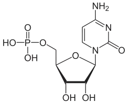 Struktur von Cytidinmonophosphat