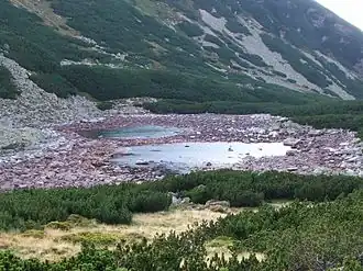 Quellen des Pańszczycki Potok, Polen