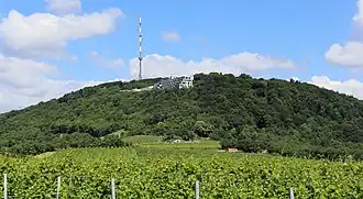 Kahlenberg mit Sendeanlage, Kirche und neuem Apartmenthotel. Im Vordergrund die Weingärten von Nussdorf
