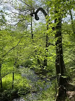 Dörpe bei Kaltenborn