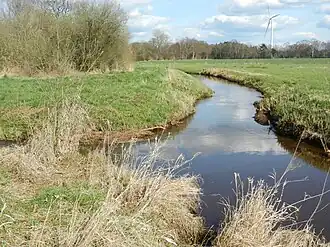 Der Dünsener Bach spaltet sich in Heidbäke und Stickgraser Bäke