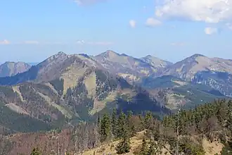 Almkogel (in der Bildmitte), Dürrensteigkamm und Hühnerkogel von Süden