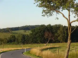 Hutberg von Süden aus gesehen