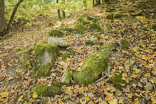 Bebauungsreste auf dem Burghügel