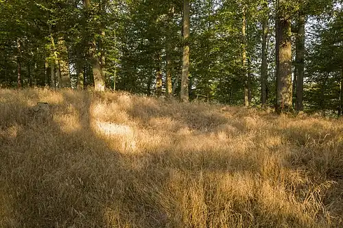 Plateau der Kernburg