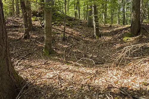 Strukturen auf dem Burgplateau
